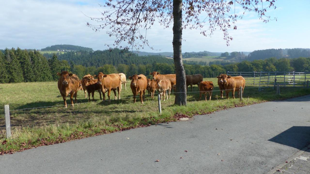 Aussichtsbauernhofpension Hof Gretchens Winterberg Exteriér fotografie