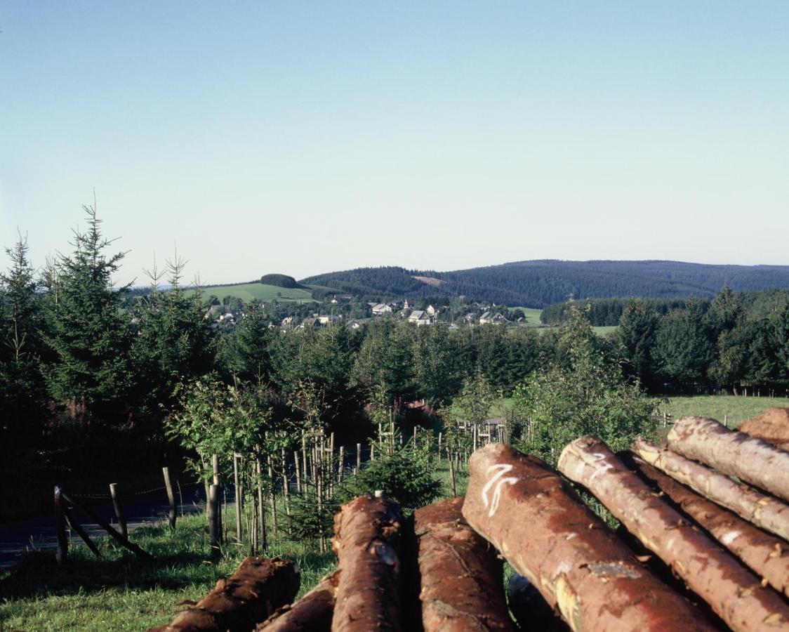 Aussichtsbauernhofpension Hof Gretchens Winterberg Exteriér fotografie