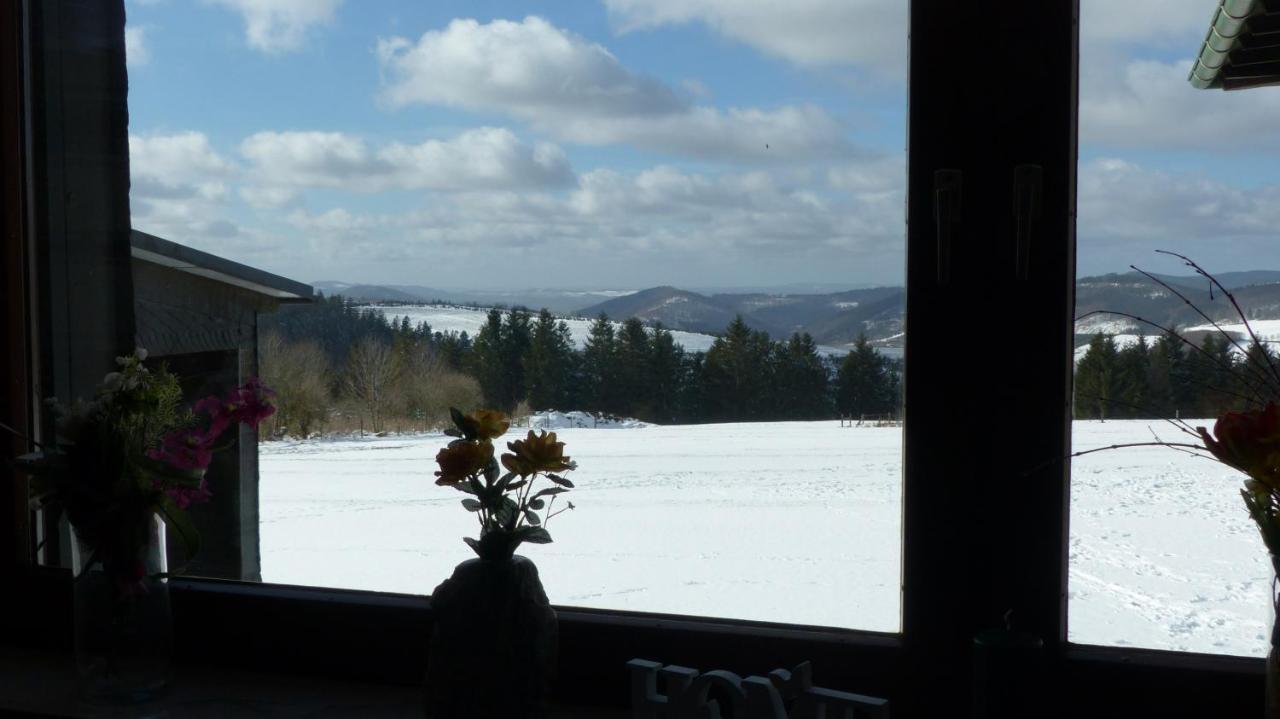 Aussichtsbauernhofpension Hof Gretchens Winterberg Exteriér fotografie
