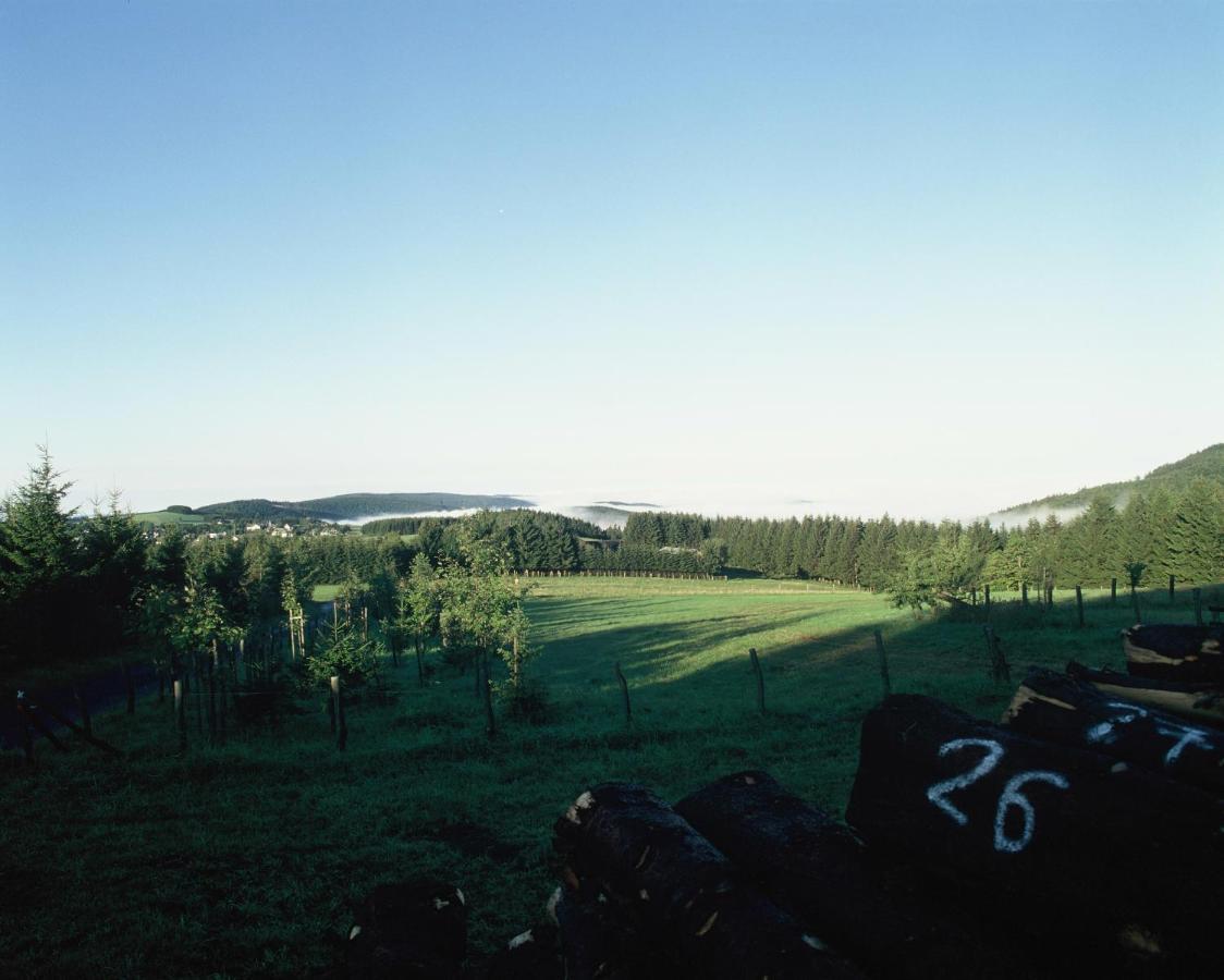 Aussichtsbauernhofpension Hof Gretchens Winterberg Exteriér fotografie