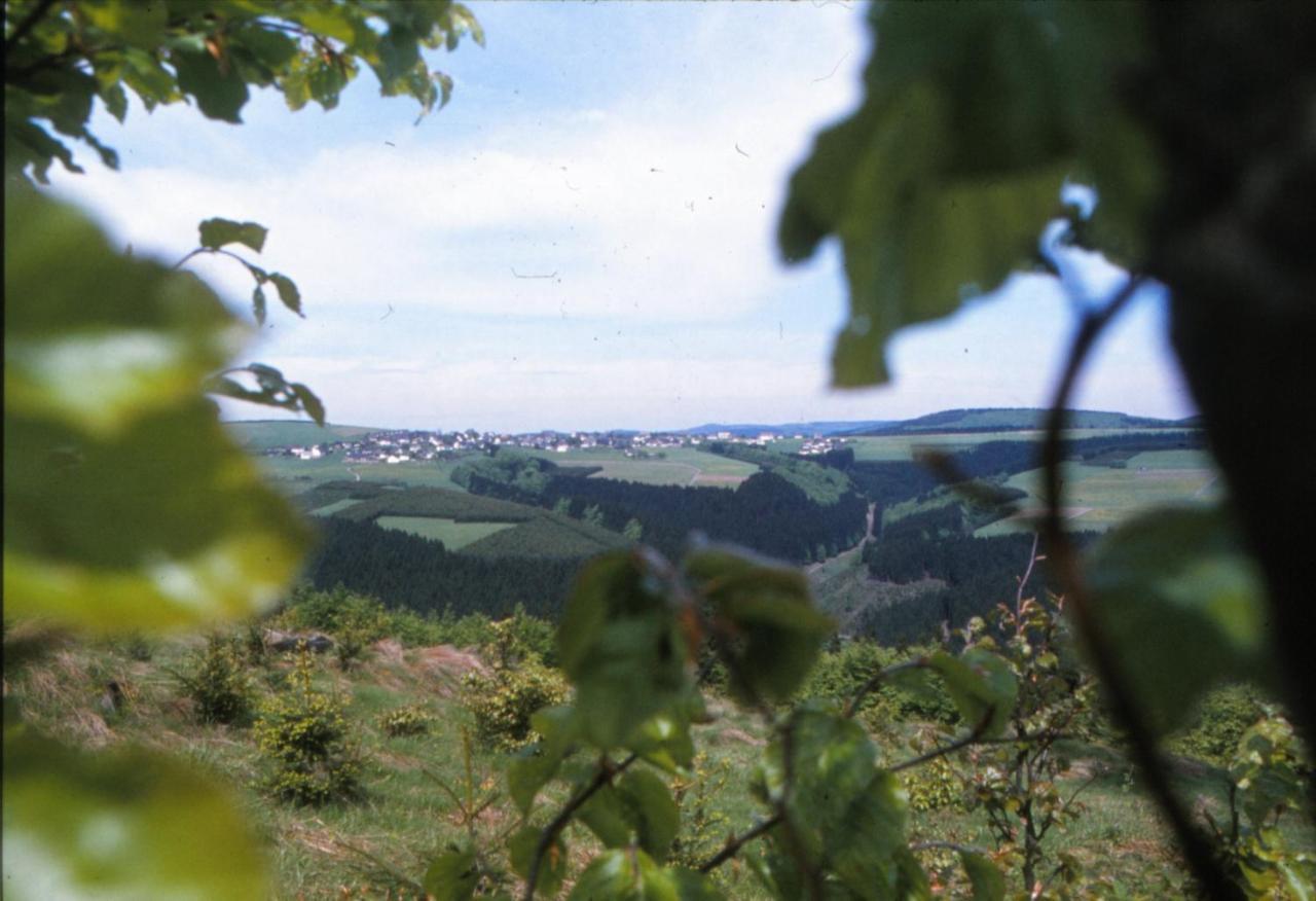 Aussichtsbauernhofpension Hof Gretchens Winterberg Exteriér fotografie